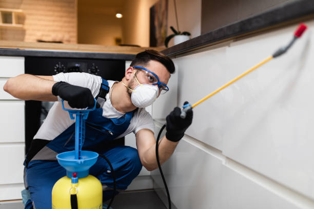Wasp Removal Services in Woodbranch, TX