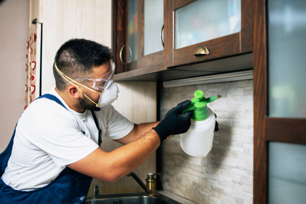 Best Cockroach Control Services  in Woodbranch, TX