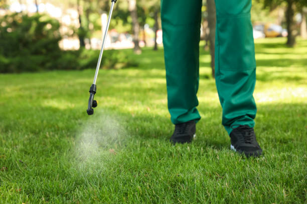 Best Wasp Removal Services  in Woodbranch, TX