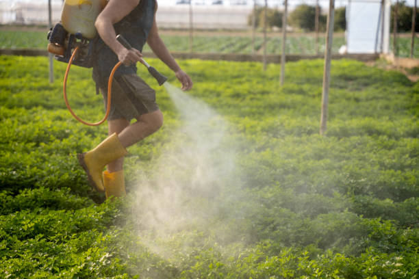 Best Pest Removal Services  in Woodbranch, TX
