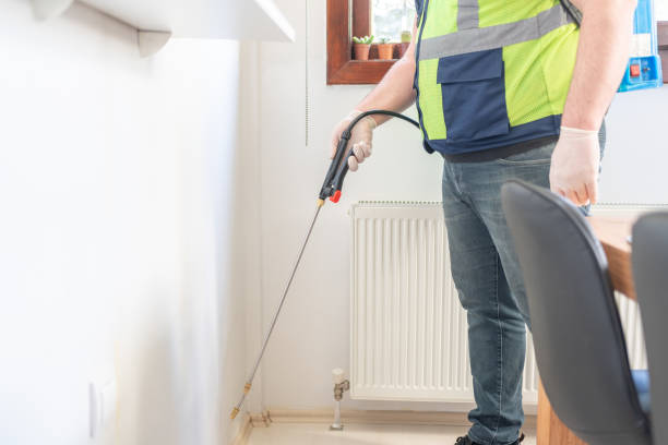 Best Local Pest Control Services  in Woodbranch, TX