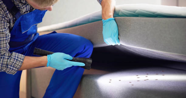 Best Pest Control Near Me  in Woodbranch, TX