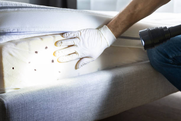 Best Wildlife Control Services  in Woodbranch, TX