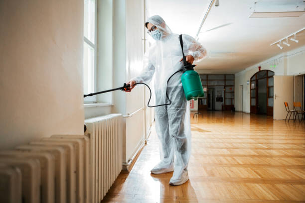Best Affordable Pest Control Services  in Woodbranch, TX