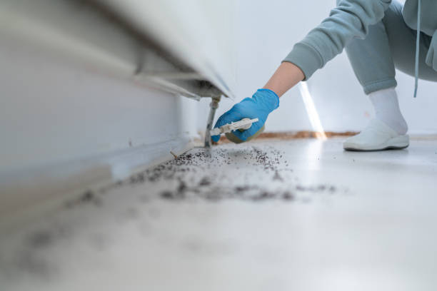 Best Best Pest Control Companies  in Woodbranch, TX